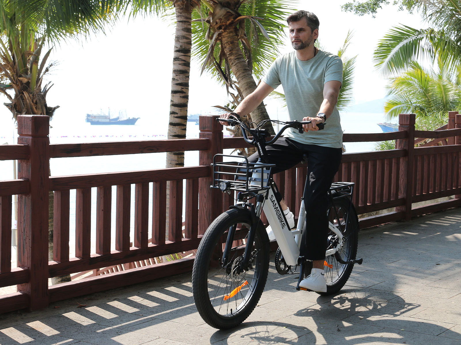 RS-A01 Plus Electric City Bike