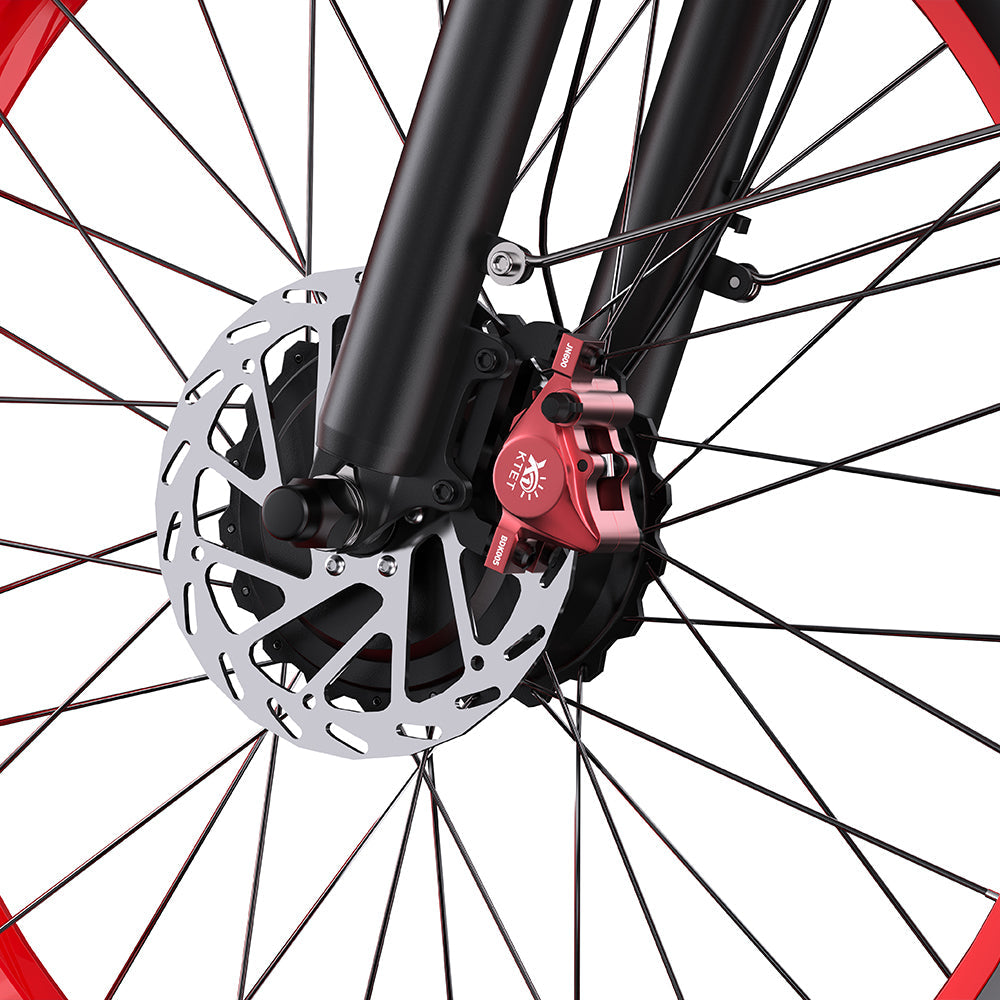 DUOTTS N26 26" Off Road Electric Bike 750W*2 Dual Motors 48V 20Ah Battery