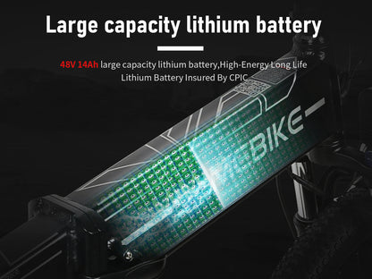 LO26-II-YD Hydraulic Brake Folding Ebike