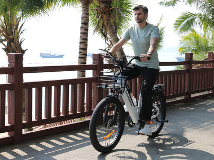 RS-A01 Plus Electric City Bike
