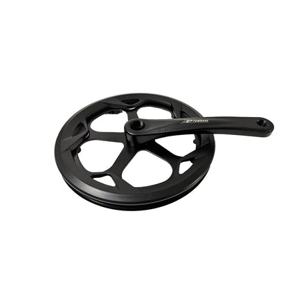 Crankset With Crank