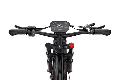 DUOTTS N26 Electric Bike Ship to UK