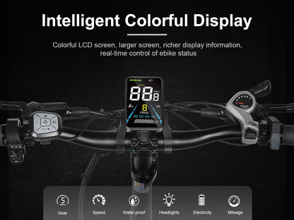 XWLX09-II 1000W Fat Tire Mountain Ebike