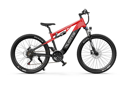 DUOTTS E29 Electric Bike