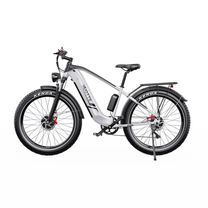 DUOTTS F26 26" Electric Mountain Bike 750W*2 Motors 48V 20Ah Battery