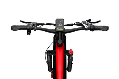 DUOTTS F26 Electric Bike Ship to US