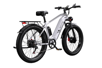 DUOTTS F26 Electric Bike Ship to US